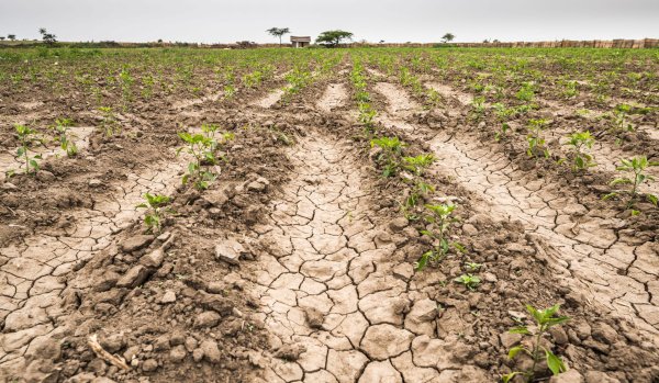 ¿Nos quedamos sin agua? Hay dos municipios de Guanajuato entre los más afectados por la sequía en 2024