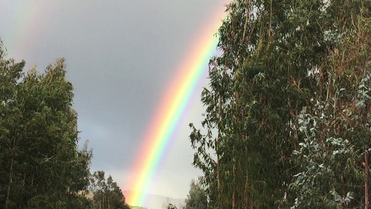 ¿Calor y lluvia? Este es el pronóstico del clima en Guanajuato para este fin de semana