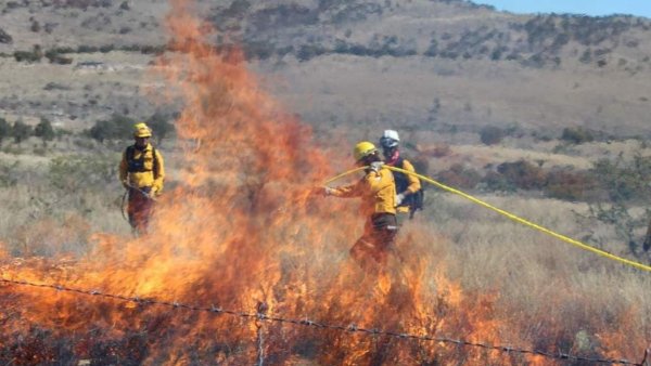 Bomberos de Guanajuato Capital reciben capacitación para el combate forestal