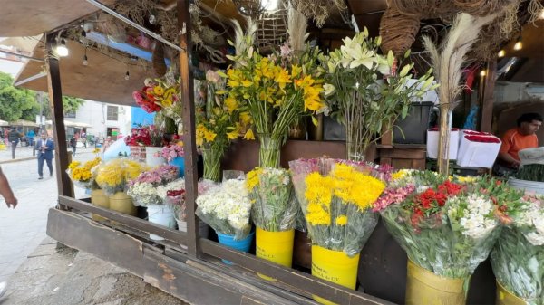 ¿Buscas ramo de rosas en Guanajuato? Aquí puedes encontrar el regalo perfecto para este San Valentín