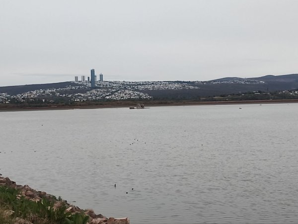 Presa del Palote está a 6% de su capacidad, es el segundo más bajo de Guanajuato