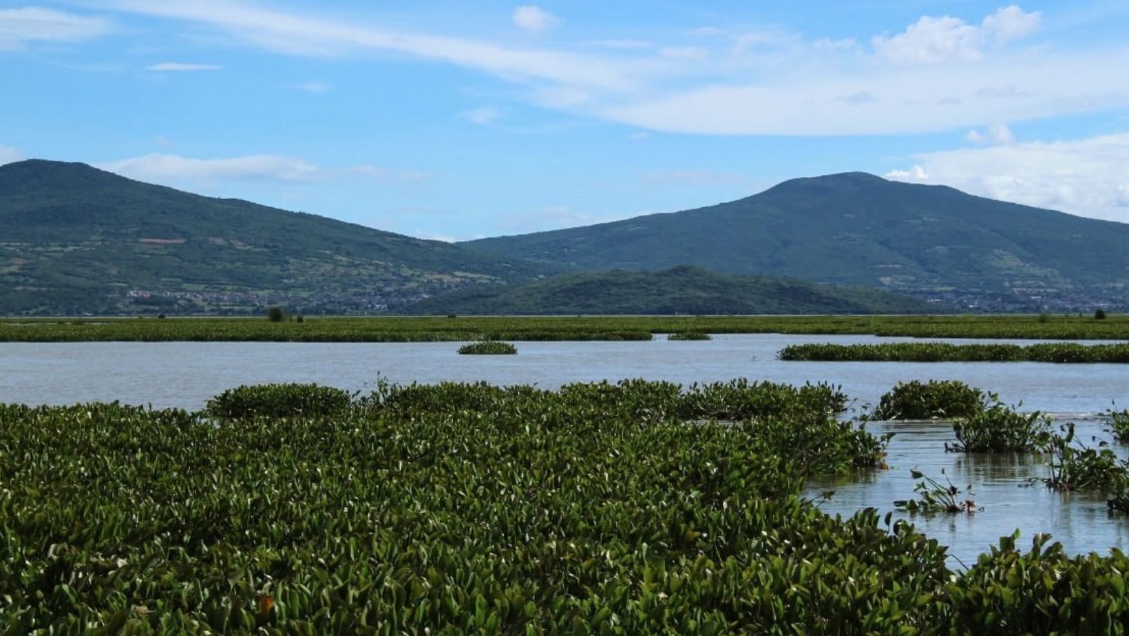 Crisis en Laguna de Yuriria: ni siquiera asisten autoridades a juntas para saneamiento