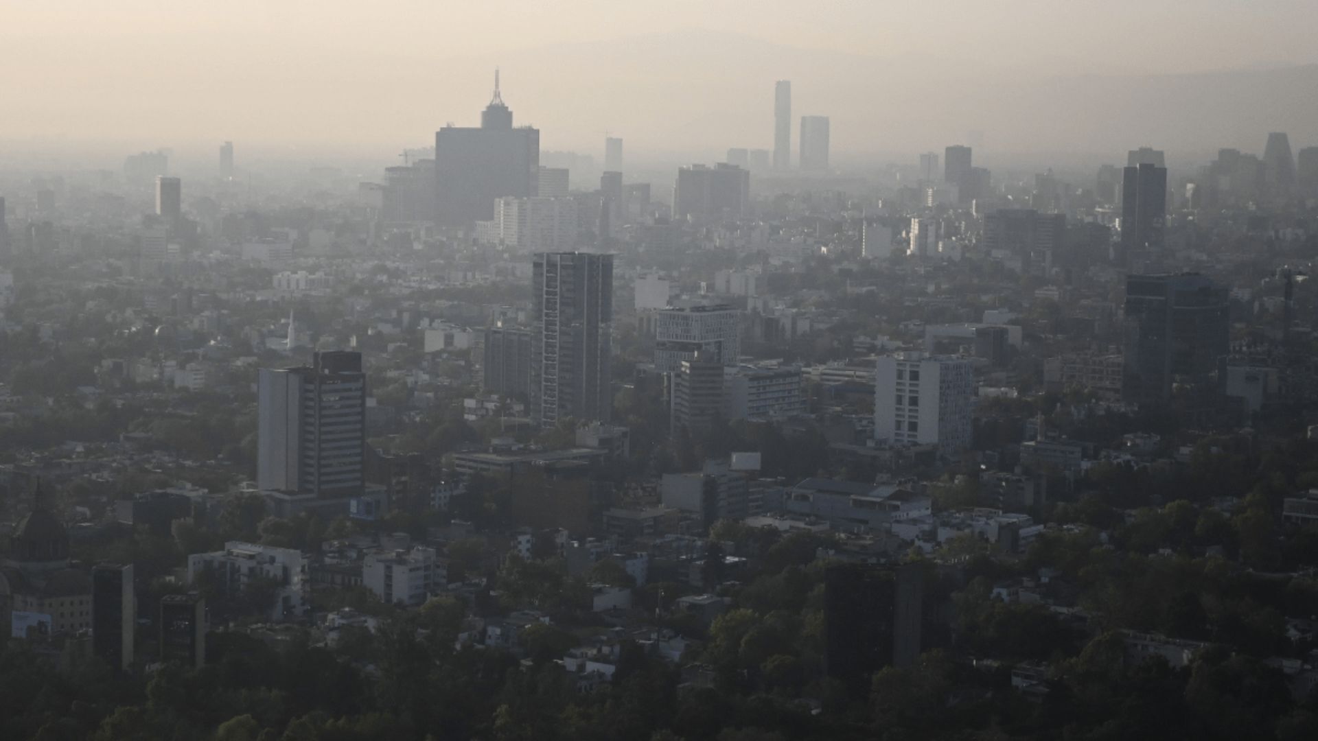 Activan doble Hoy No Circula por contingencia ambiental en CDMX