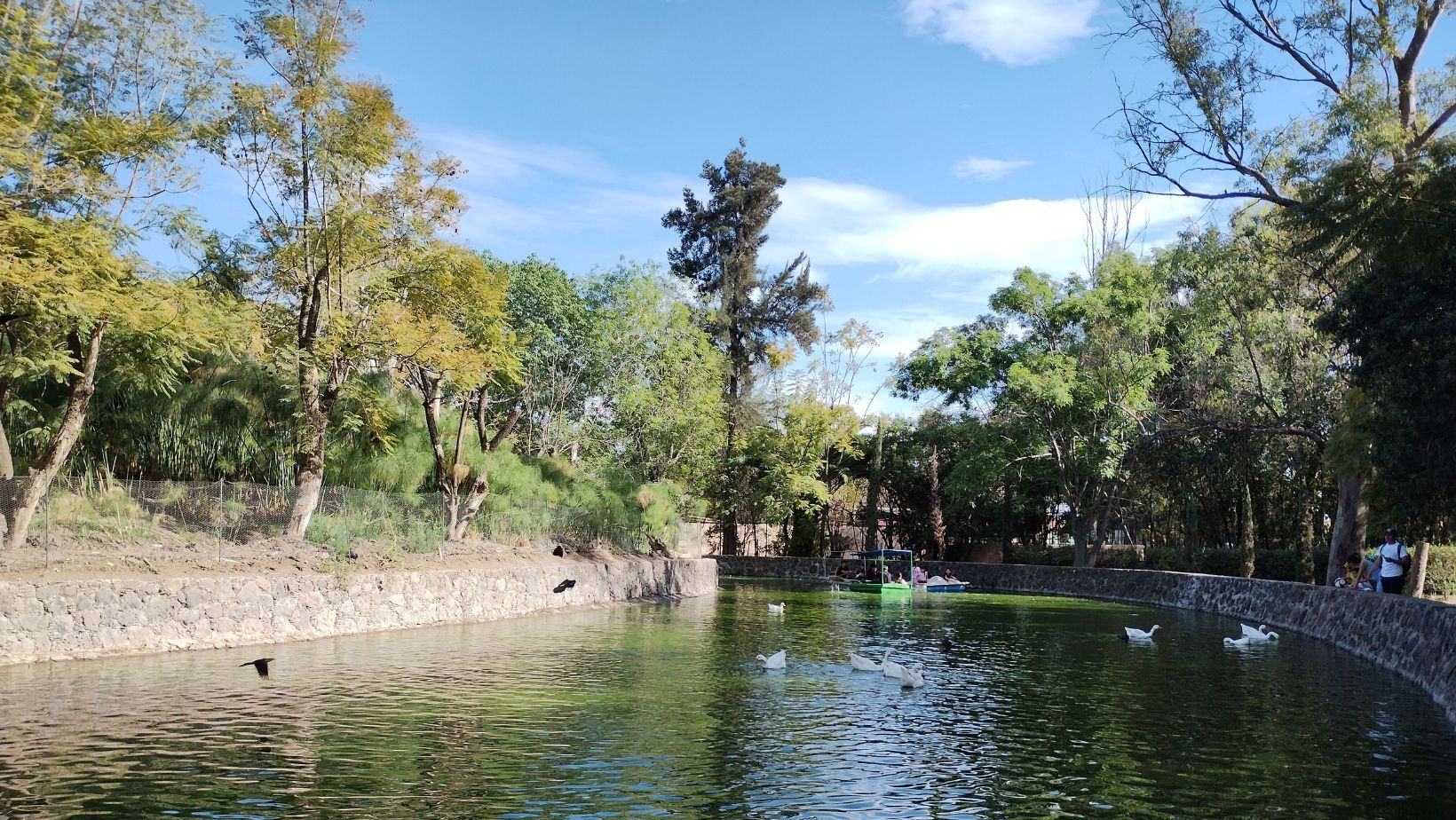 ¿Quieres disfrutar de la pesca en Irapuato? ¡Conoce el Parque Zoológico!