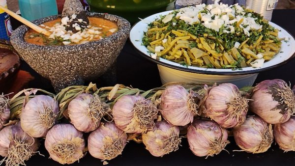 ¿Qué ofrece el Festival Tradición y Sabor en Celaya? ¡Descubre los sabores de la región!