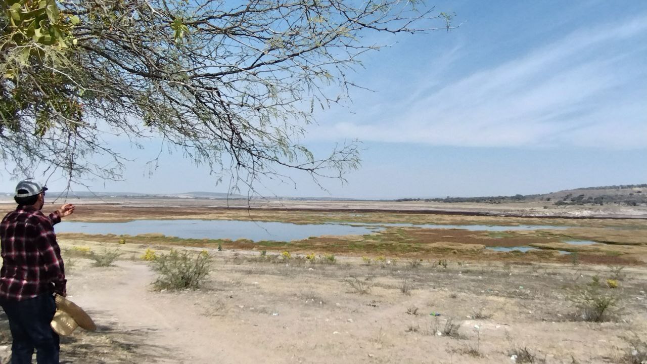 Urgen desazolve de presas y rescate de pozos en Purísima del Rincón 