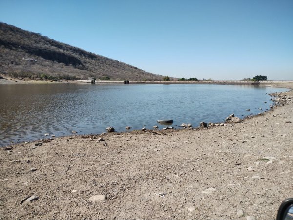 ¿Sequía es inevitable para Guanajuato? Urgen tomar medidas para recargar los mantos acuíferos 