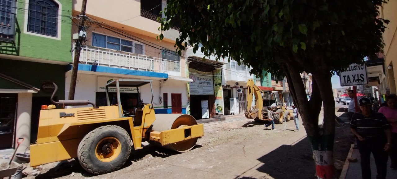 Indigna tala de diez árboles ficus para la repavimentación de la calle Zaragoza en Tarimoro 