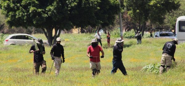 Búsquedas de desaparecidos en Celaya no tuvieron resultados; ‘son las primeras del año’