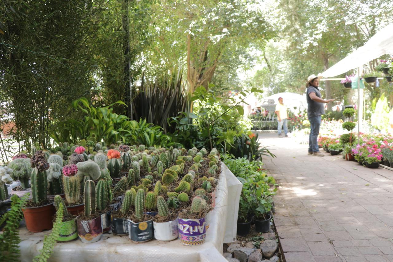 ¿Te gustan las plantas y las flores? Visita la Feria del Árbol en Dolores Hidalgo