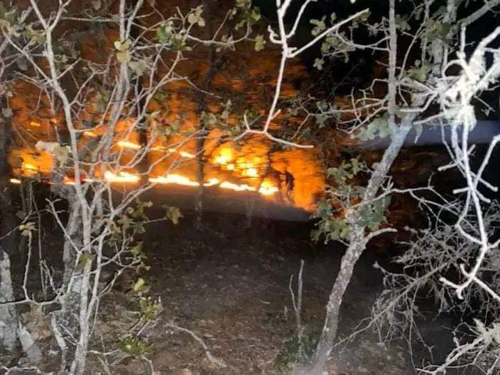 Combaten incendio en La Mazamorra de Xichú por dos días; urgen apoyo 