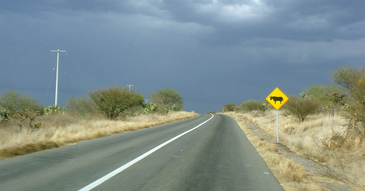 Por exceso de velocidad, motociclistas causan accidentes en la carretera Guanajuato-Dolores Hidalgo