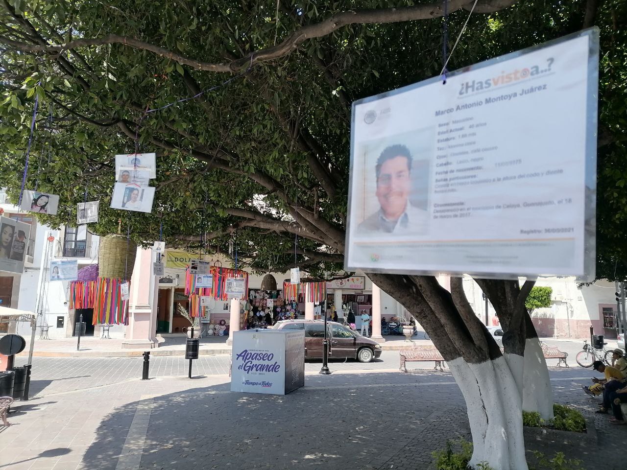 Colectivo crea ‘árbol de la esperanza’ en memoria de los desaparecidos de Apaseo el Grande 