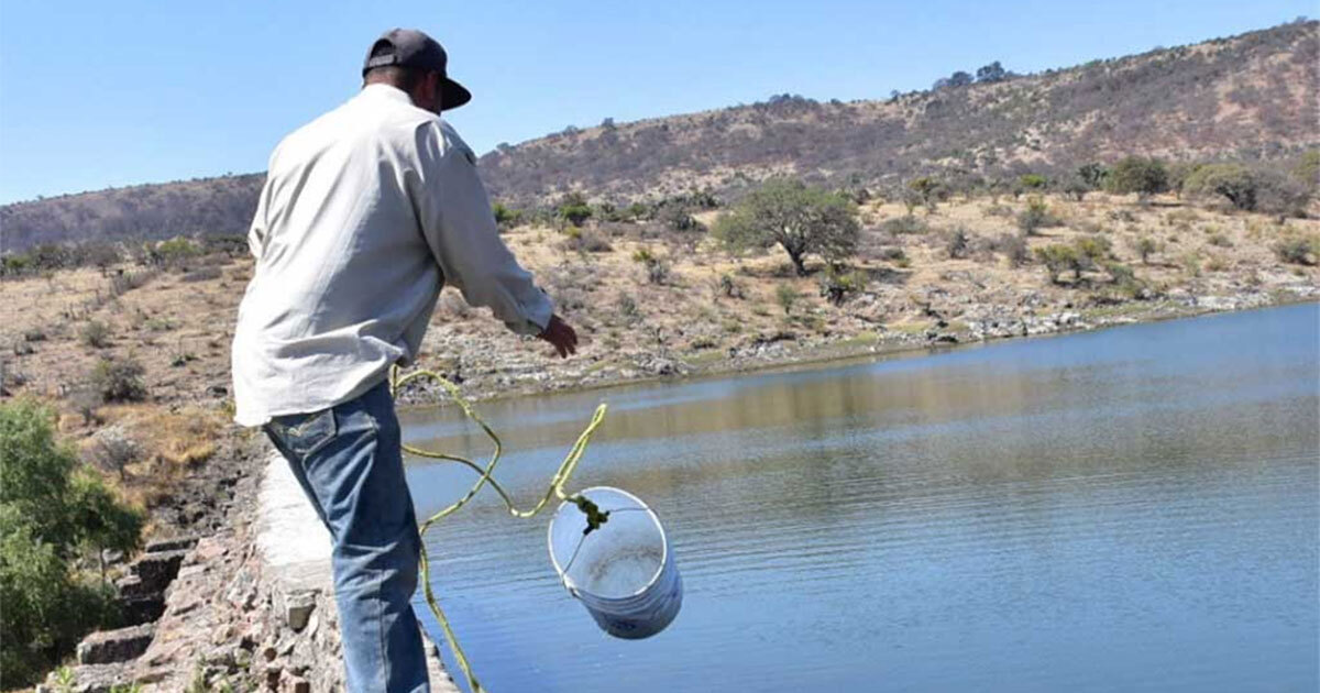 SAPAL denuncia deuda de Conagua por 60 mdp para dotar de agua a León 