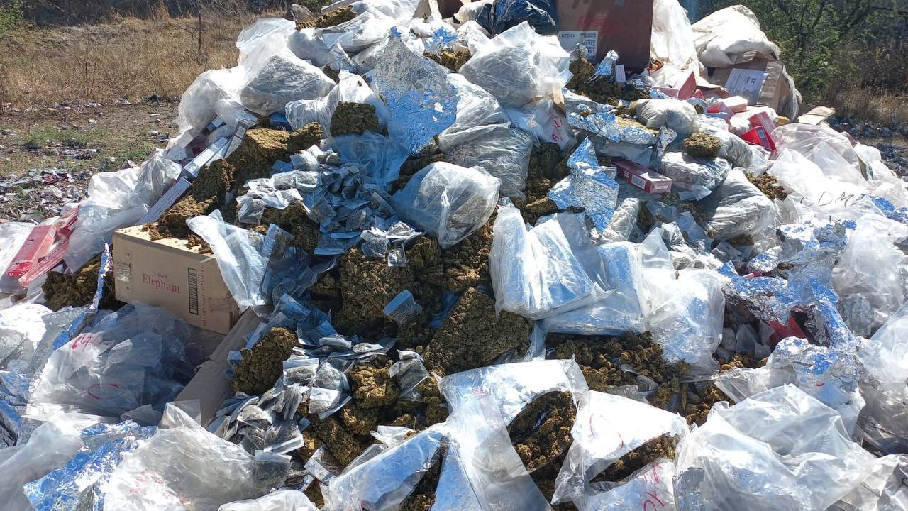 FGR destruye al menos 600 kilos de droga y otros “instrumentos del delito” en León 