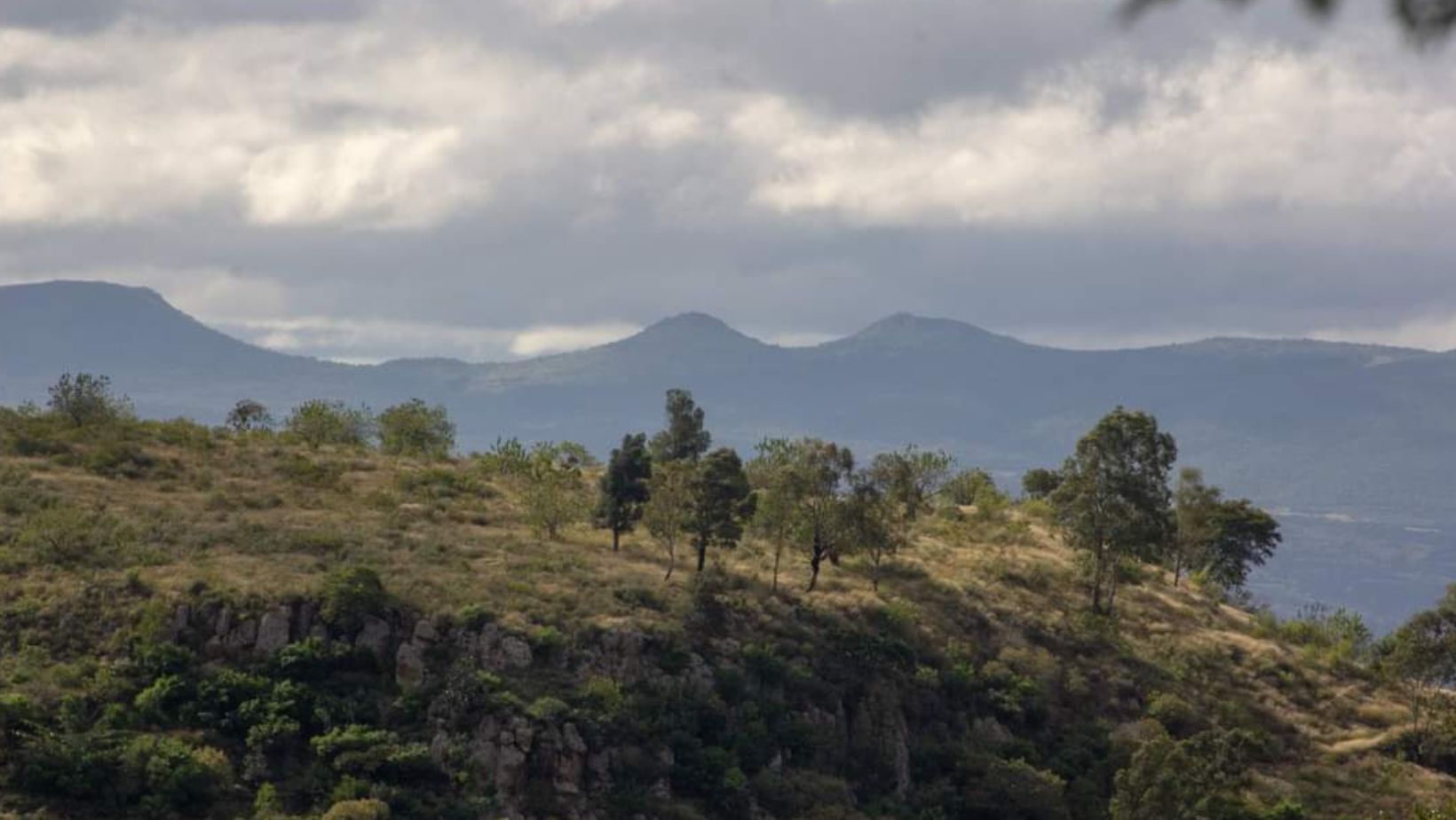 ¿Lluvias de primavera? En medio de ola de calor, pronostican chubascos para Guanajuato