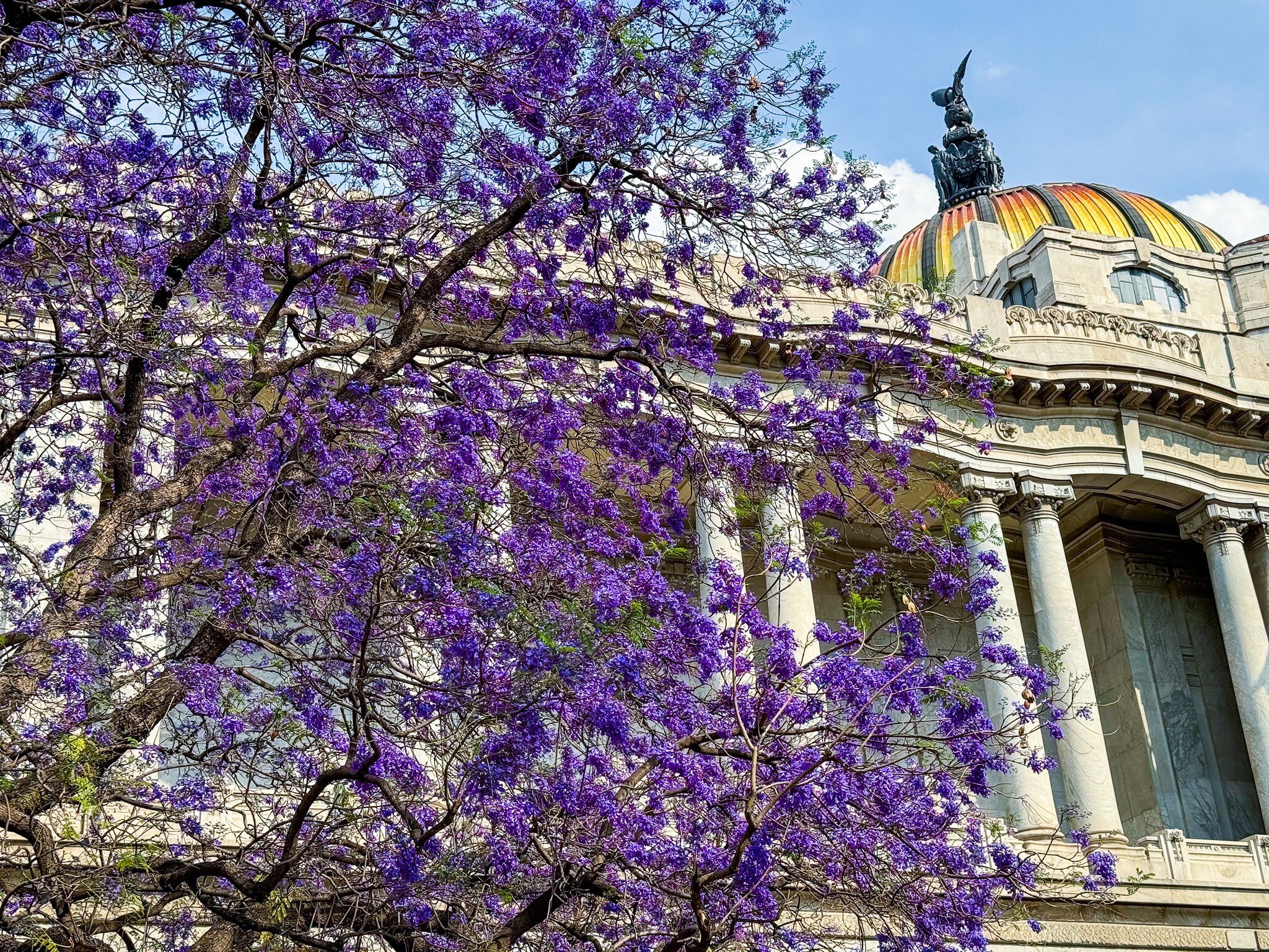 ¿Está prohibido tomar fotografías en el Palacio de Bellas Artes? 