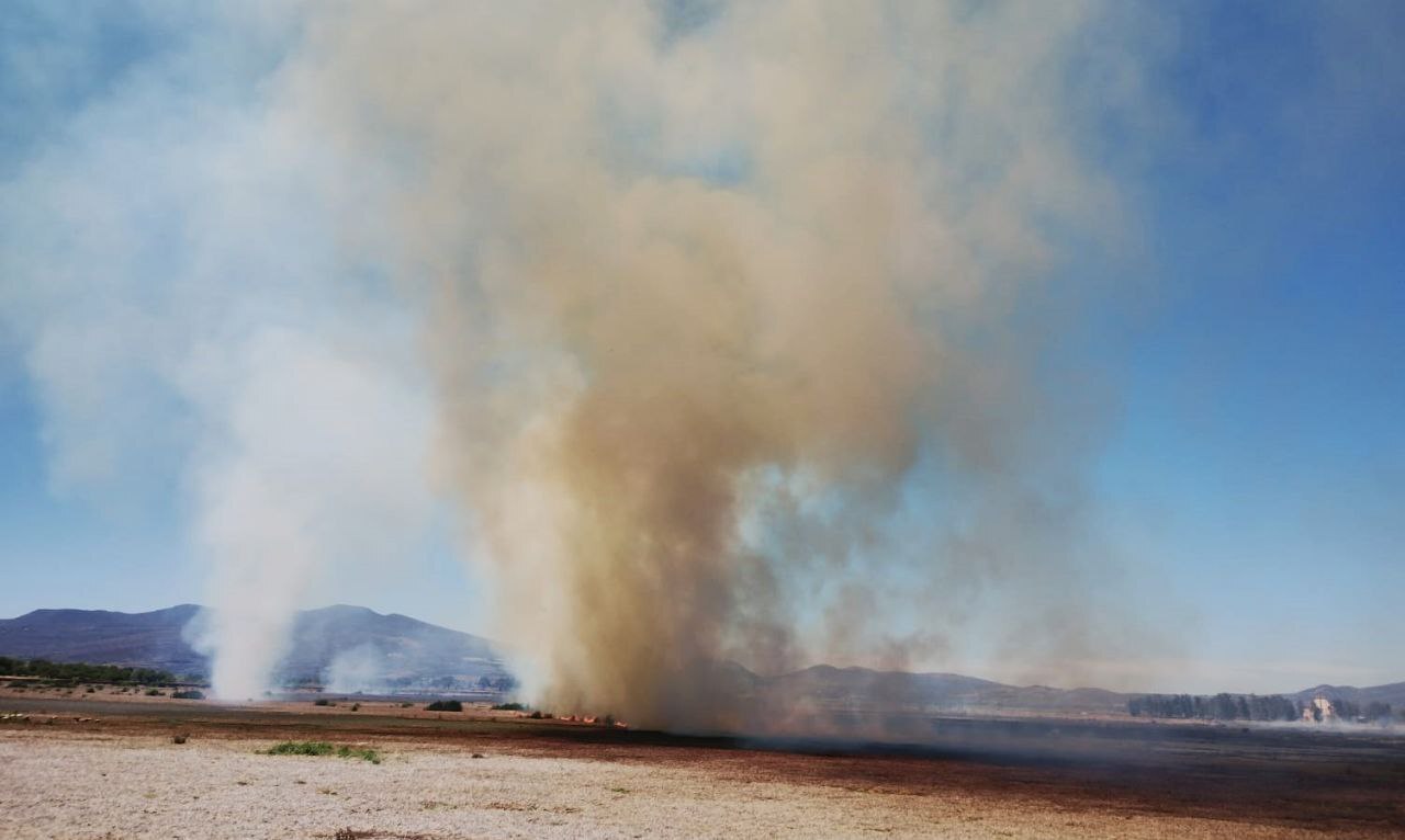 Laguna de Yuriria está en riesgo de sufrir nuevos incendios por quemas agrícolas: SMAOT