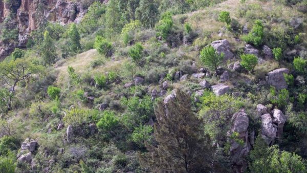 Descubre la Cueva de Santa Regina en Huanímaro, un tesoro natural regional