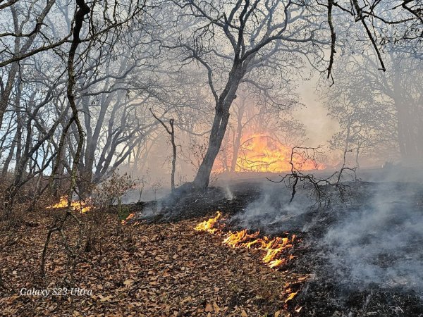 Crónica del incendio en Santa Rosa: ¿qué tanto son las más de dos mil hectáreas consumidas?