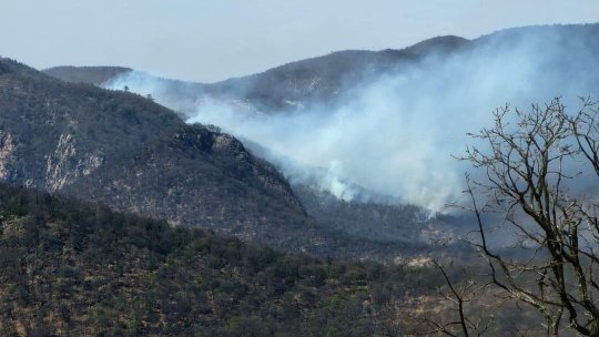 Incendios forestales en Guanajuato consumen cerros en Santa Rosa y Mesa de la Virgen