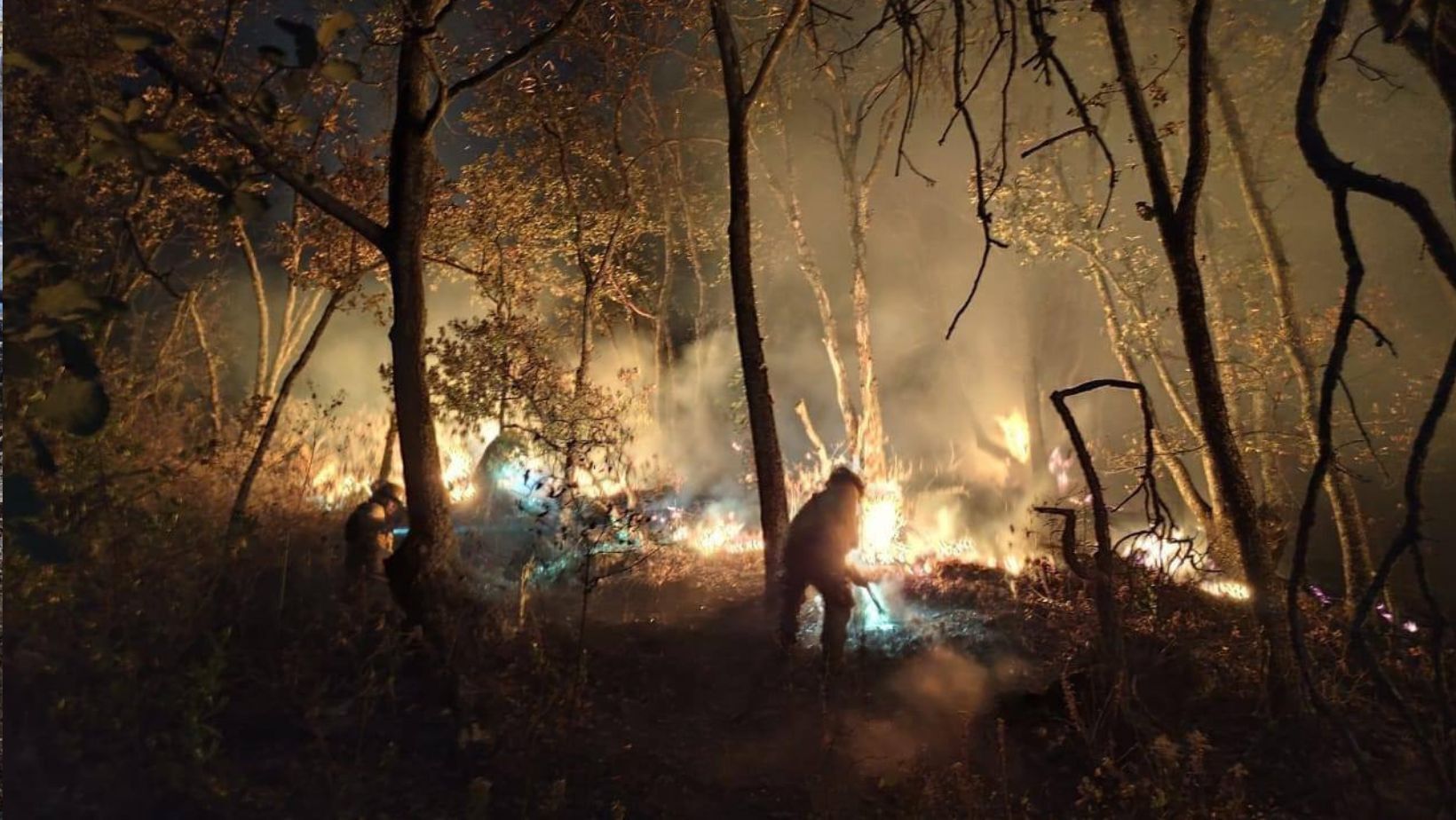  Luchan bomberos de Guanajuato por más de 24 horas para sofocar incendio forestal en Santa Rosa