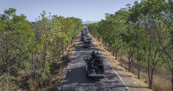 AMLO asegura que secuestro de 66 personas en Sinaloa es por “una confrontación de bandas”