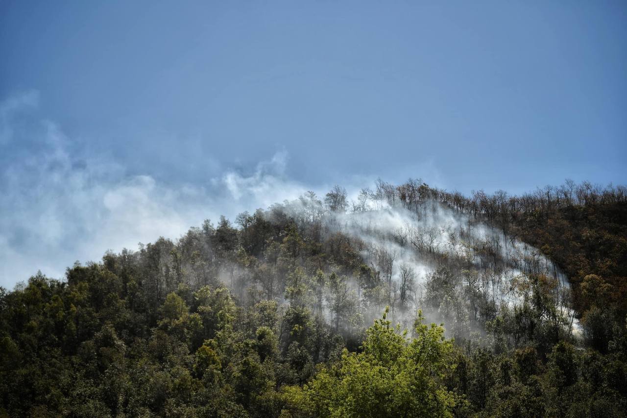 ¿Qué pasa en la Sierra de Santa Rosa en Guanajuato? Incendio ya ha afectado más de 2 mil hectáreas