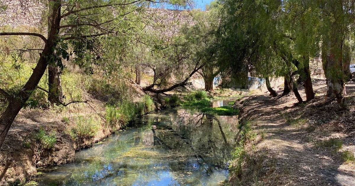 Presa Chichimequillas en Silao es el destino perfecto para vacaciones, ¡cónocela!