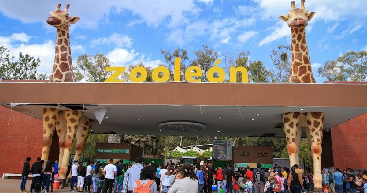 ¿Cuánto cobran en el zoológico de León en 2024? Disfruta del Carnaval Zoo por Semana Santa