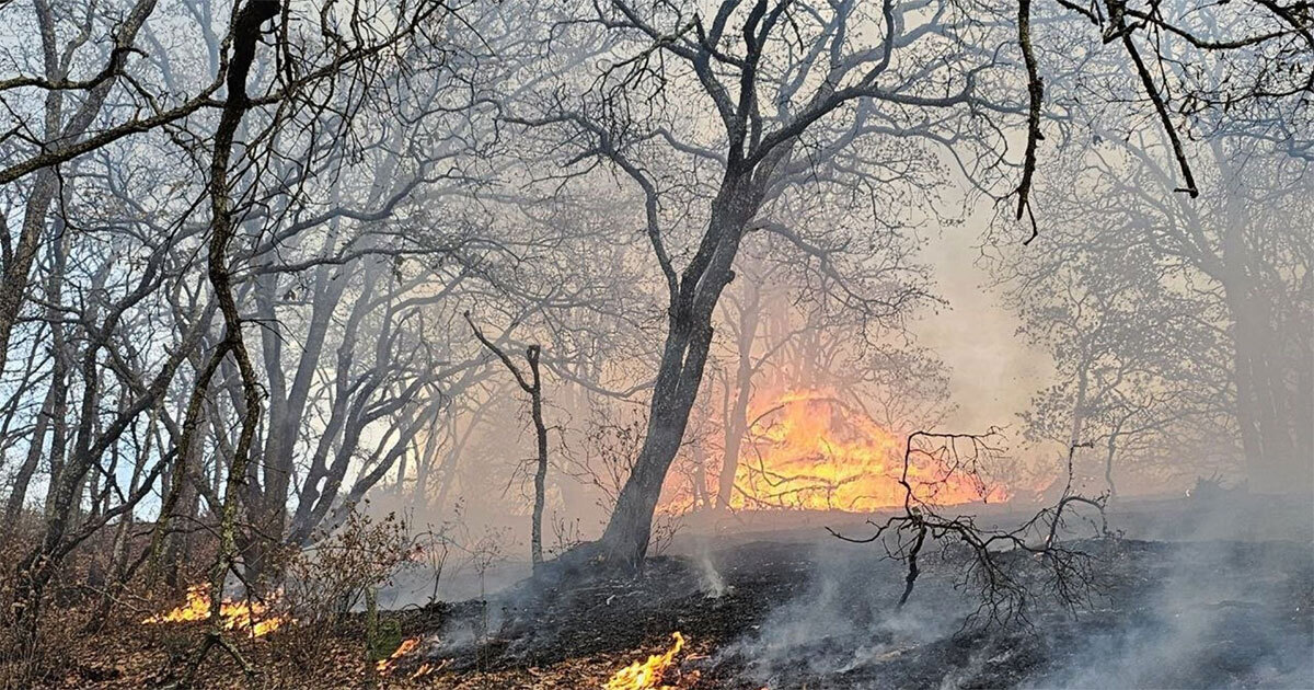 ¿Qué provocó el incendio en la Sierra de Lobos en León? Esto revelaron las autoridades 