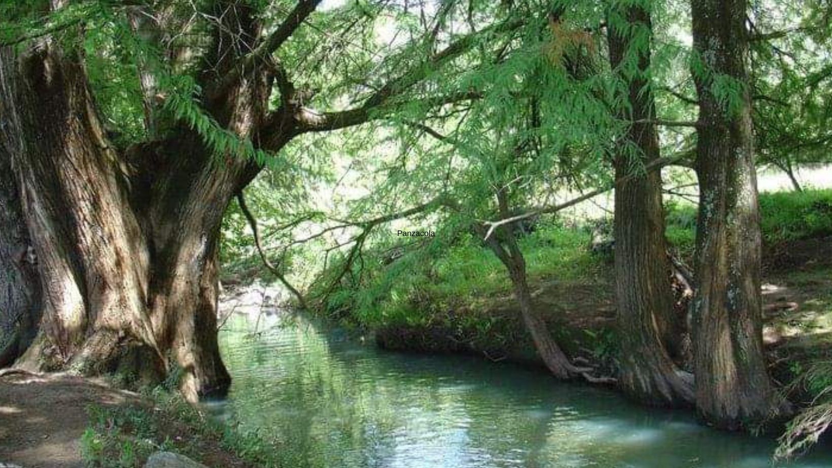 Descubre un oasis escondido en Panzacola, el retiro natural en Pénjamo