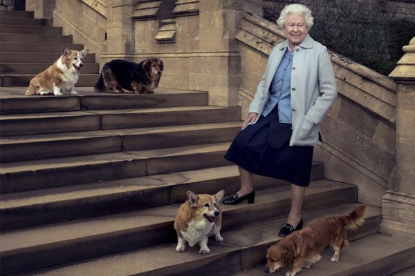 ¿Qué raza son los perros de La Reina Isabel II y qué sucedió con ellos?  