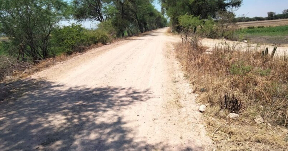 Ganaderos urgen pavimentar caminos rurales en Silao, Romita e Irapuato