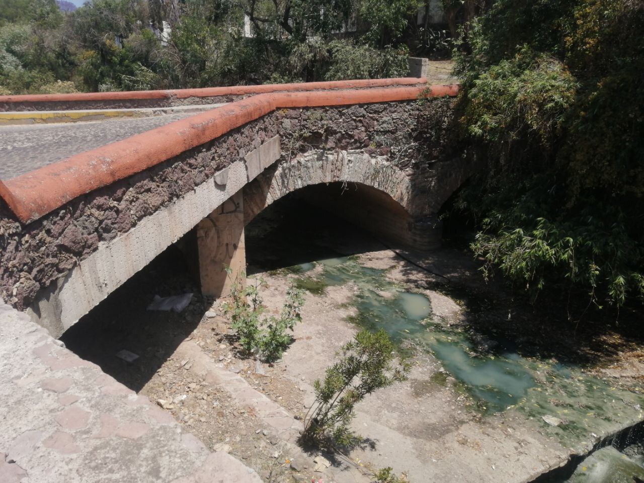 Entre malos olores y riesgo de incendios, cauce del río en Guanajuato queda en el abandono 