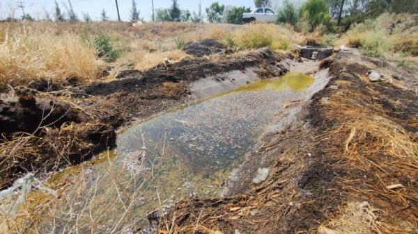 GN y Pemex revisan pozo agricola contaminado en Salamanca; piden checar red de drenaje