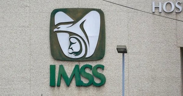 IMSS abre convocatoria con empleos para Guanajuato, ¿quiénes pueden participar?