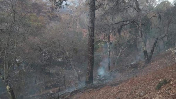  Voluntarios y vecinos sofocan incendio en la comunidad de Rancho de Guadalupe de Xichú