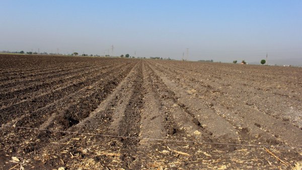  Crisis de agua agota la agricultura y ganadería en Guanajuato