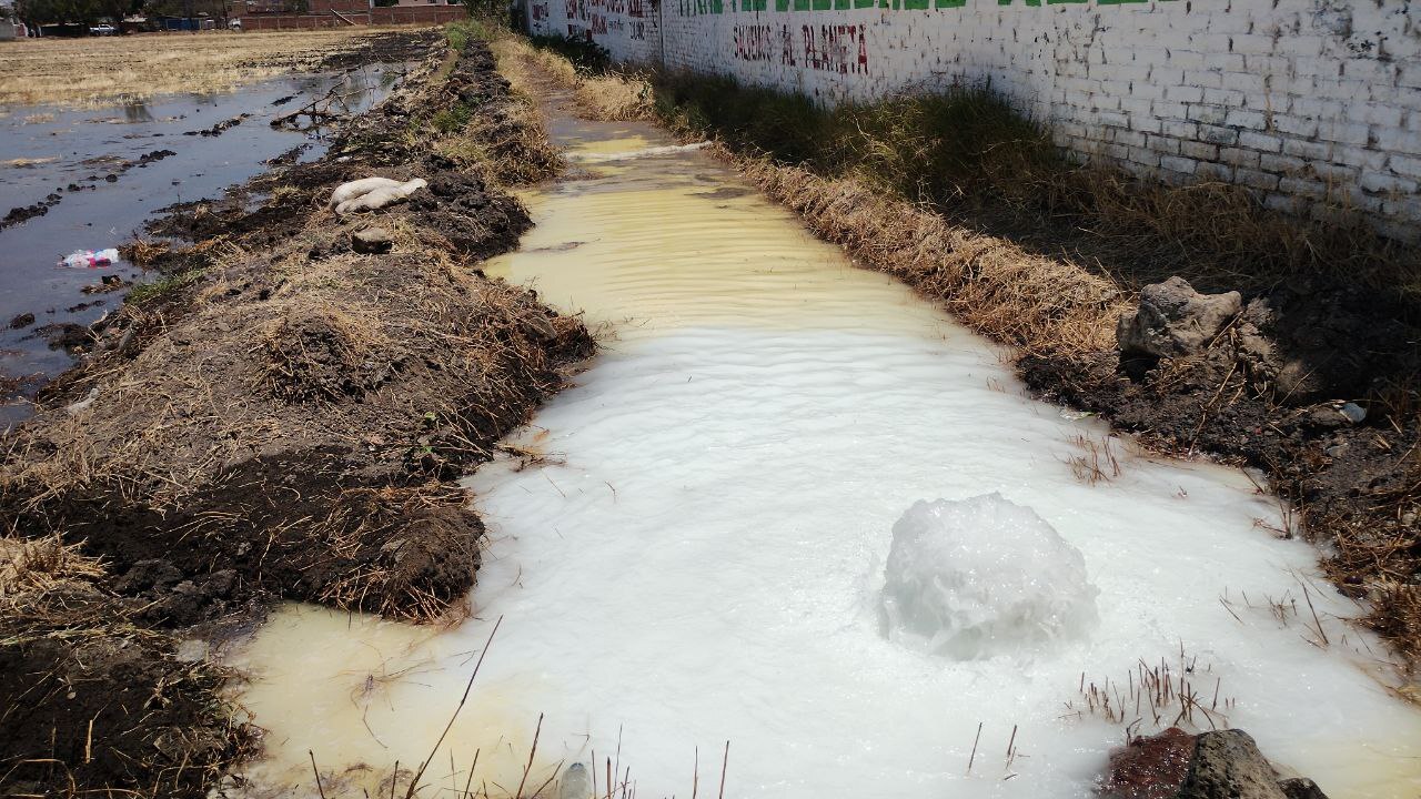 Con agua contaminada con gasolina, agricultores riegan campos en Salamanca: 