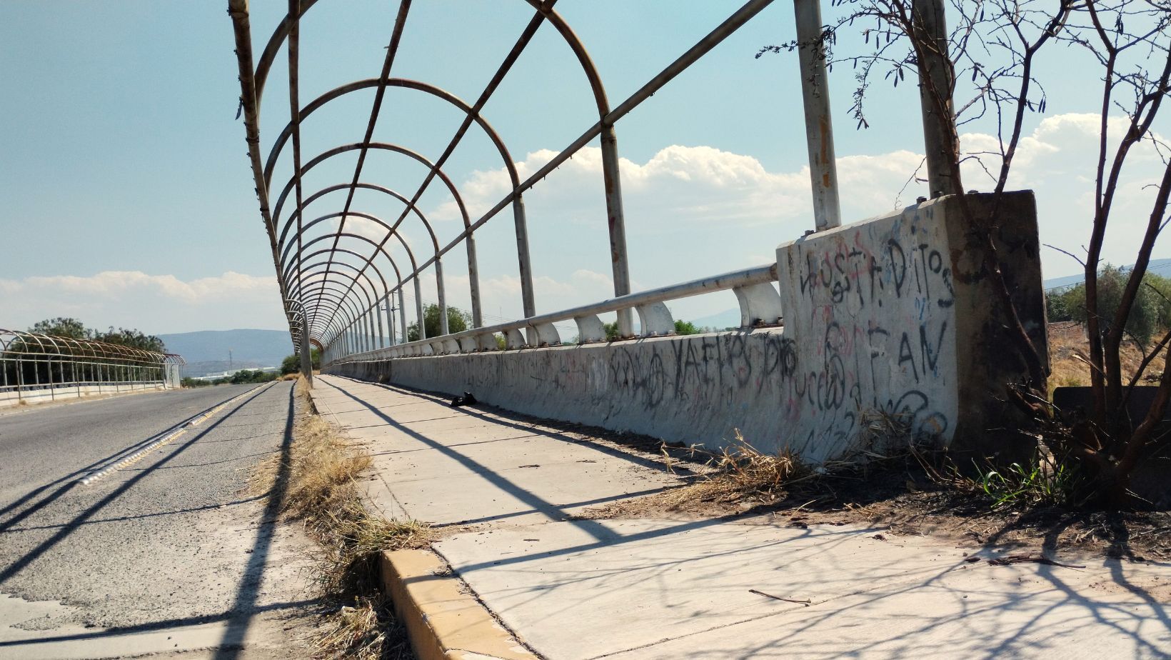 Pese a saqueos, dejan en el abandono al Parque Bicentenario de Celaya