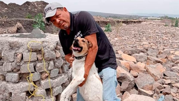 Así fue el rescate de la perrita Libertad luego de ser arrojada a un pozo de León