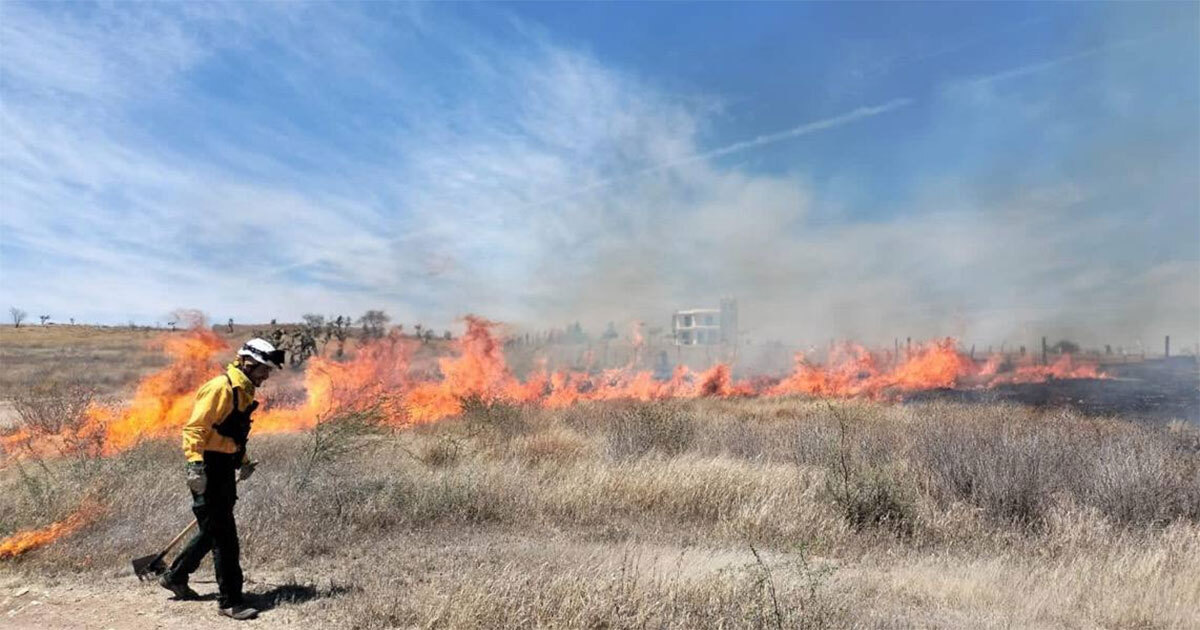 En menos de cuatro meses, bomberos combaten más de 100 incendios en Guanajuato 