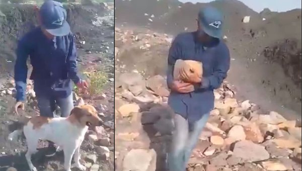 Video de jóvenes arrojando a perro a un pozo en León causa rabia; rescatista lo salvó