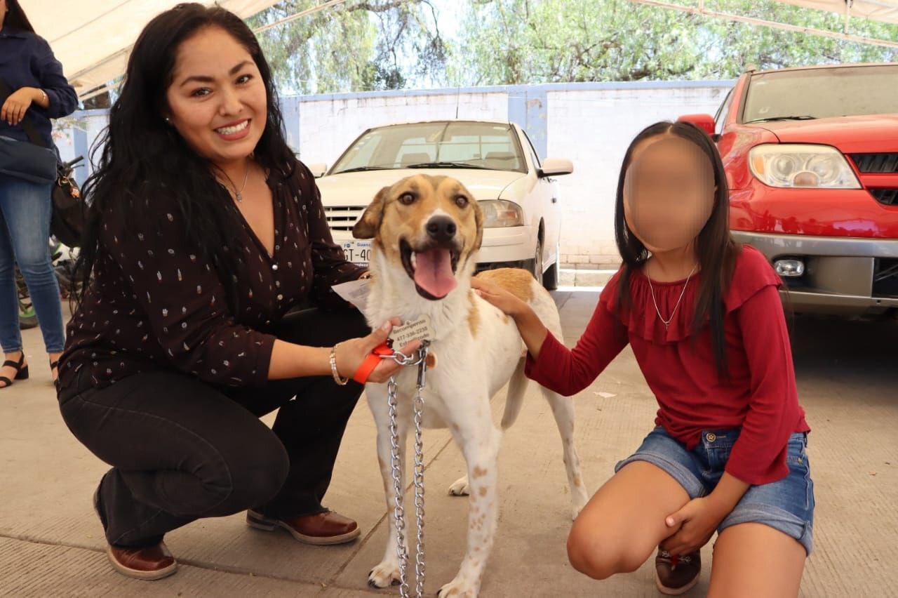 Tras ser arrojada a un pozo y rescatada en León, perrita Libertad se va a casa con su nueva familia