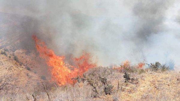 Bomberos luchan contra incendio en el Arenal de Guanajuato Capital