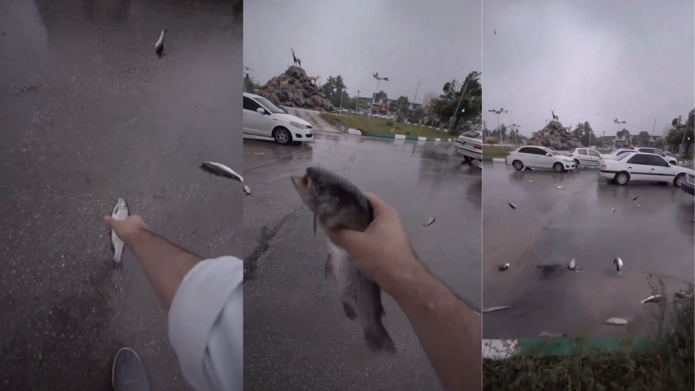 La verdad sobre el video de la lluvia de peces en Irán, ¿cuál es la razón?