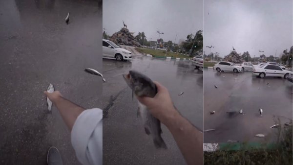 La verdad sobre el video de la lluvia de peces en Irán, ¿cuál es la razón?