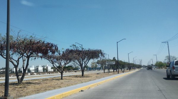 Vecinos del bulevar Bicentenario de Salamanca denuncian 'arrancones' de motociclistas