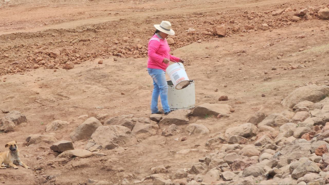 ¿Dónde se sufre más por la sequía en Guanajuato? Todo el estado carece de agua 